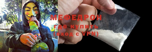 гашик Ельня