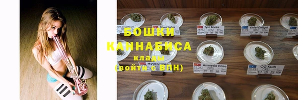 гашик Ельня