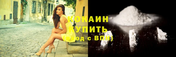 гашик Ельня