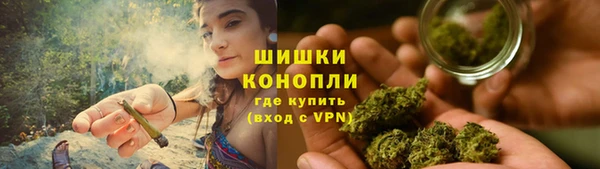 гашик Ельня