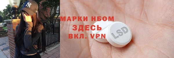 гашик Ельня