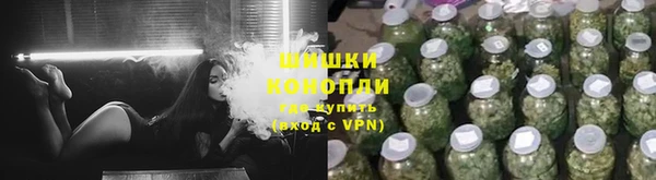 гашик Ельня