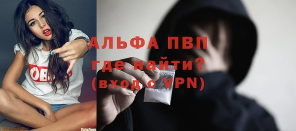 гашик Ельня