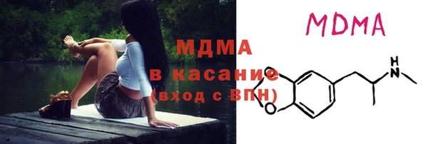 гашик Ельня