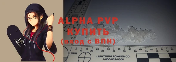 гашик Ельня