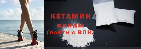 гашик Ельня