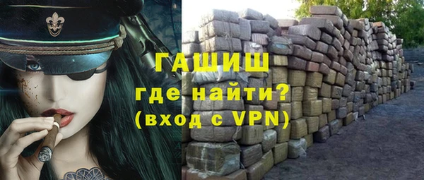 гашик Ельня
