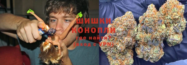 гашик Ельня