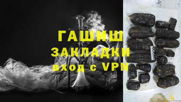 гашик Ельня