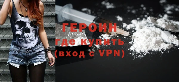 гашик Ельня