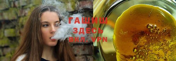 гашик Ельня