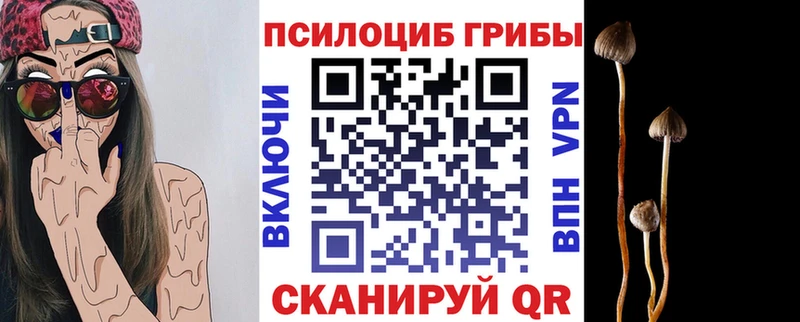 Галлюциногенные грибы Psilocybine cubensis  Купить  Нижняя Тура 